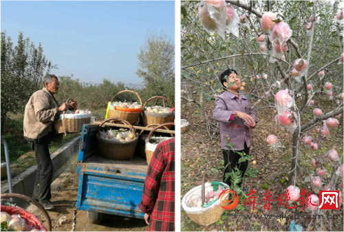 甘肃平凉63岁以上有多少人口_甘肃平凉车牌号是多少