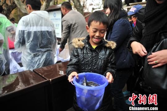 图为小朋友积极参与，将鱼放入滇池 刘冉阳 摄