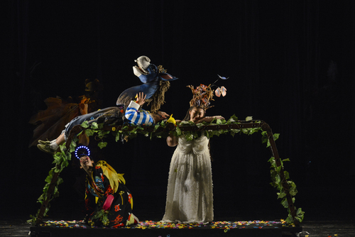 仲夏夜之梦简笔画图片