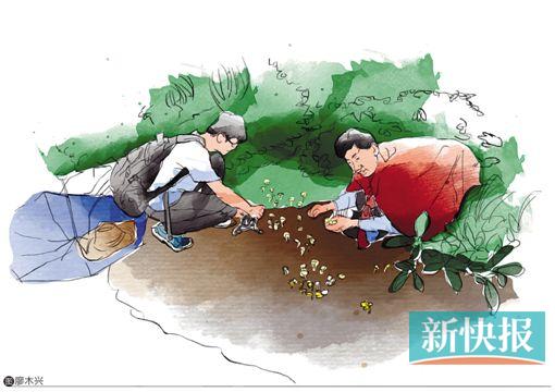 ●野外采集蘑菇非常艰辛,日晒雨淋,又会遭遇鼠蛇蚊虫等,而且拍摄照片也不容易,因为菌类多生长在阴暗潮湿的密林中。