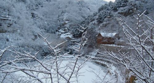 济南实拍：大雪降南山美爆眼球 大片来了！  齐鲁晚报 记者 周青先 摄