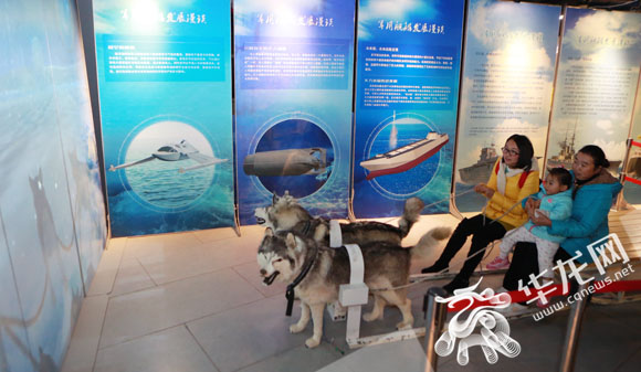 此次展览有不少互动项目，市民在体验“极地之旅”。 首席记者 李文科 摄