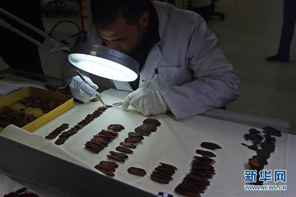 图为在埃及开罗，一名专家在大埃及博物馆内修复法老图坦卡蒙的护甲。新华社记者 赵丁喆 摄 图片来源：新华网
