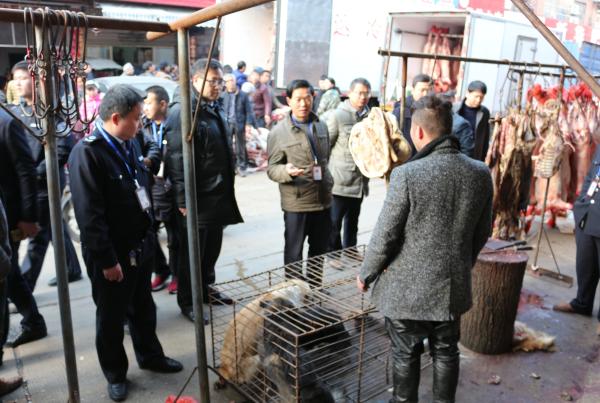 河南信阳回应 狗肉未检疫 :开展专项整治,经营户