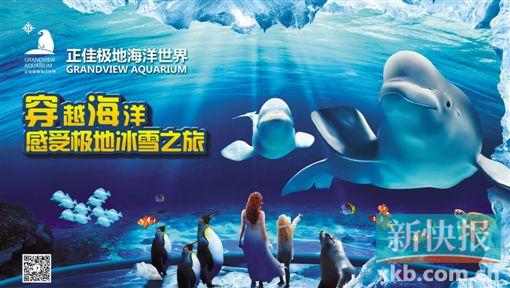正佳海洋馆发《寻"鸡"启事》 属"金鸡"游客春节免费参观!