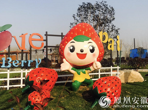 情人节,写给长丰草莓的情诗