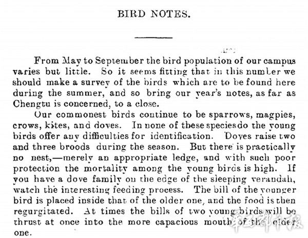 戴珍的观鸟札记片断。朱磊供图