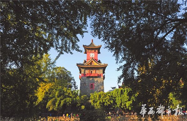 四川大学华西医学院荷花池，钟楼矗立，百年之间这里一直是观鸟爱好者眼中的胜地。