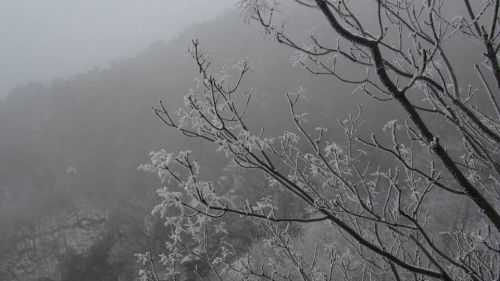 春雪到,济南南山冰挂和雾凇形成童话世界