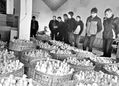 六安市农业gdp_六安市地图(3)