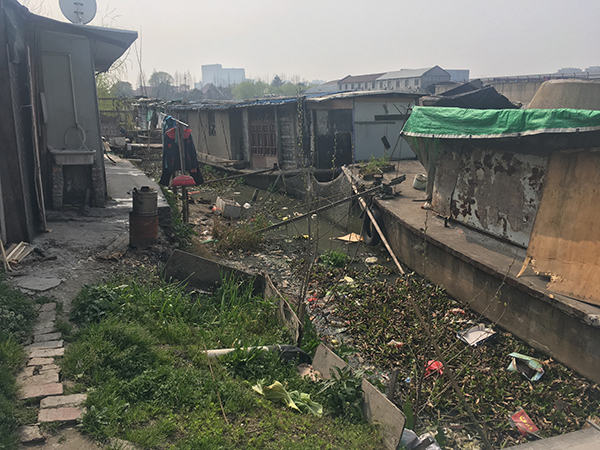 上海新槎浦河上的船屋，屋前的水体已发黑。 本文图片均为澎湃新闻记者陆兵图