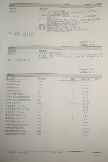 月报告