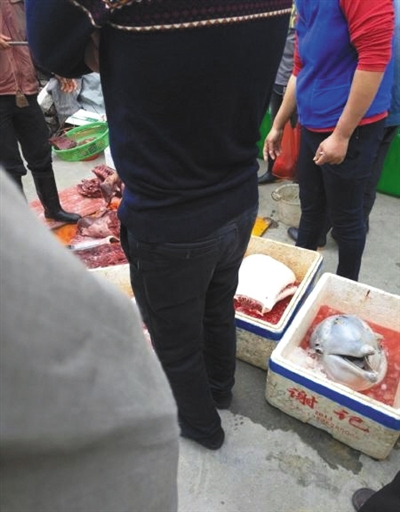 网友爆出被当街分割售卖的海豚肉。网络图片