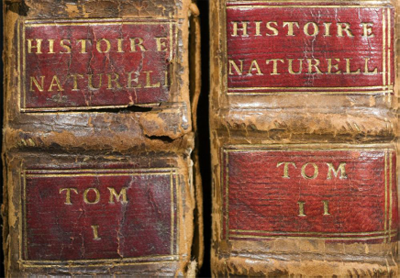出版于1749年的《博物志》第一版第一、二卷的书脊