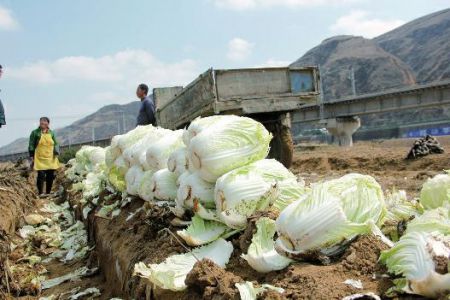 绥德籍爱心企业家买下所有白菜送需要的人