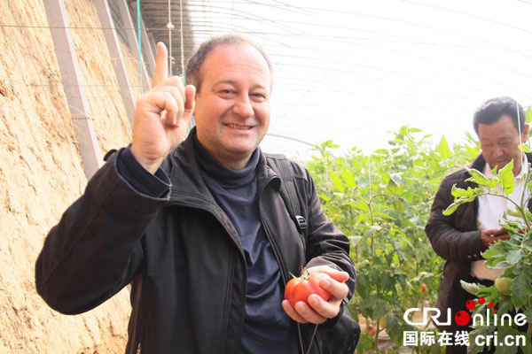 西班牙专家奥古斯托在邯郸肥乡韩堡村丽园农业示范园品尝有机西红柿。