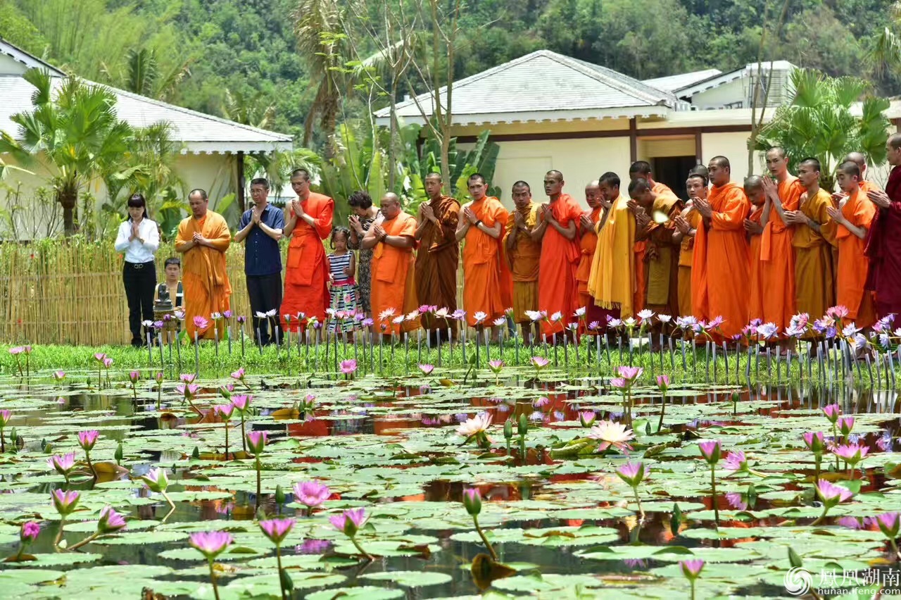 勐景来傣族春节之行:僧侣与111户村民的祈福仪式