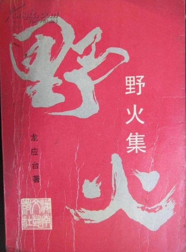 1986 年,社会宽容让《丑陋的中国人》出版,它让