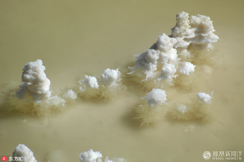 察尔汗盐湖结晶成花