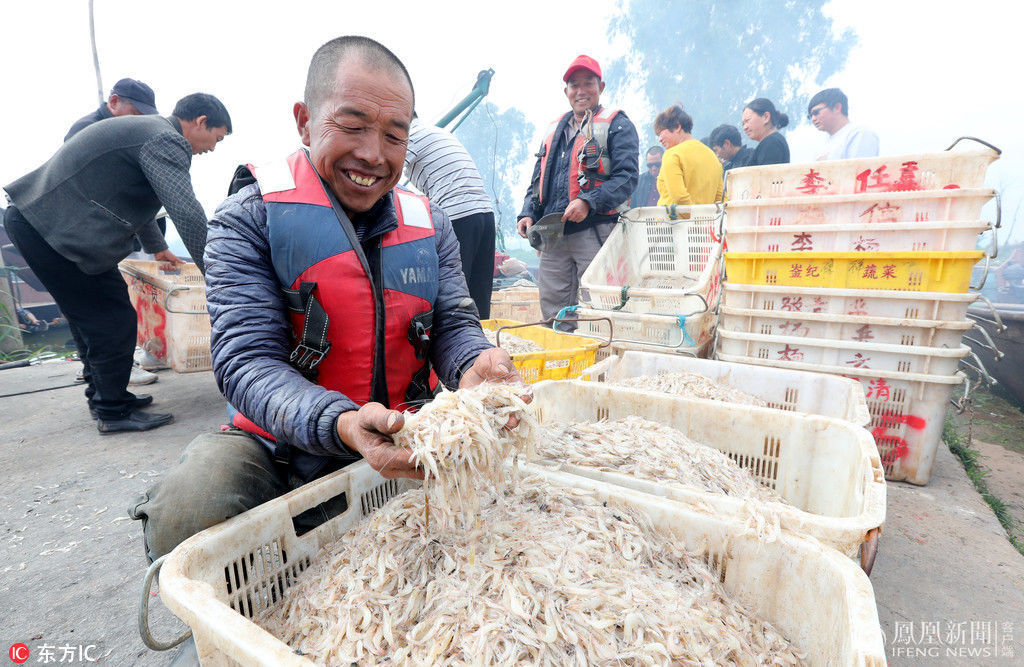 云南滇池"小鱼海"首日 船上鱼虾满仓