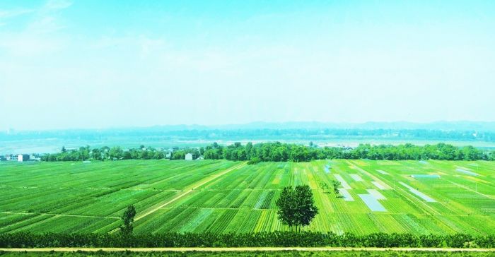 潼南农业大园区引领产业升级大产业推进大发展