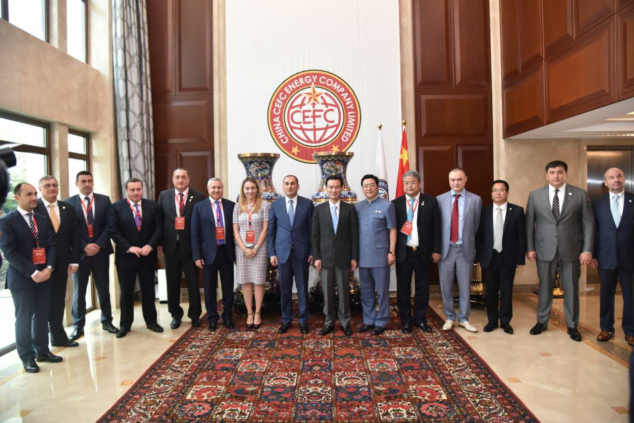 格鲁吉亚第一副总理访问中国华信 会见中国华