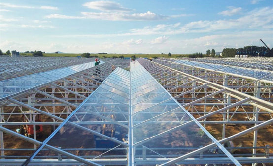 华西村人均收入_人均蔬菜消费量