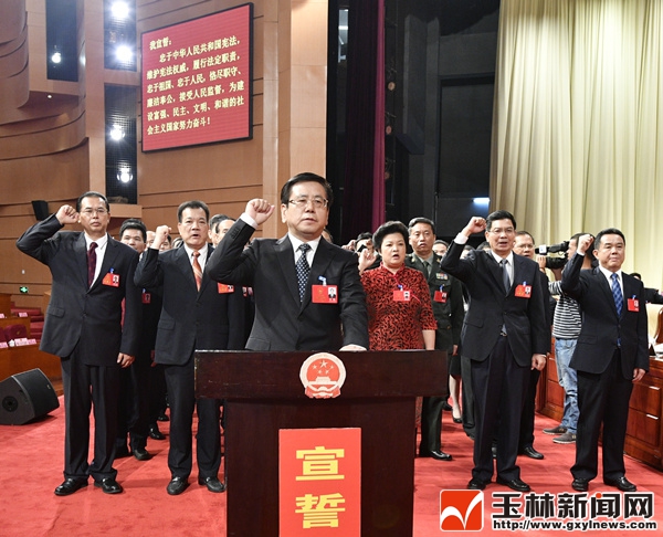 王凯当选玉林市人大常委会主任 苏海棠当选市人民政府市长