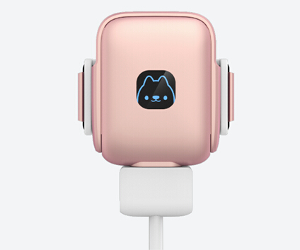 韩红爱心基金透明到底 为慈善从不要脸|宠物