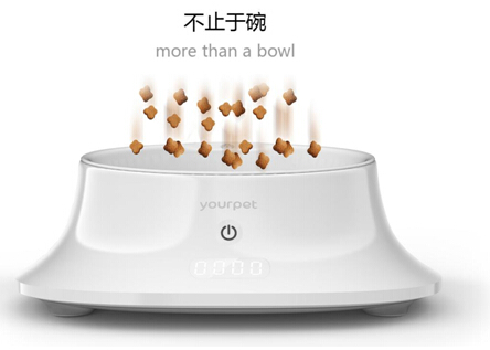 韩红爱心基金透明到底 为慈善从不要脸|宠物