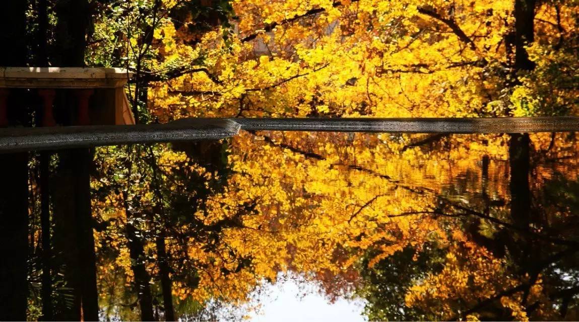 人民日报确定沪昆高铁开通时间!这回真的定了