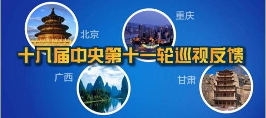 中央巡视组通报北京、重庆等4省区市