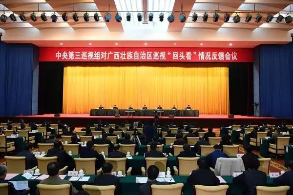 中央巡视组通报北京、重庆等4省区市"回头看"情况