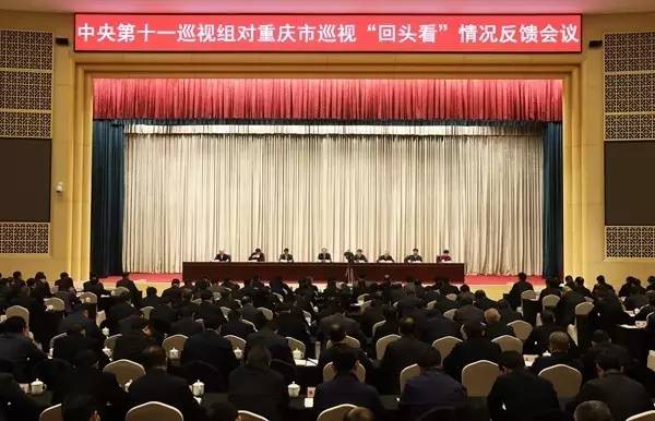 中央巡视组通报北京、重庆等4省区市"回头看"情况