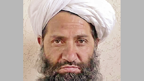 塔利班头目呼吁“植树造林” 阿富汗官方：骗子