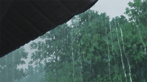 今天起浙江的雨要一直下到月底？