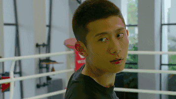 小鲜肉片酬抵中型企业 学者:不必行政干预