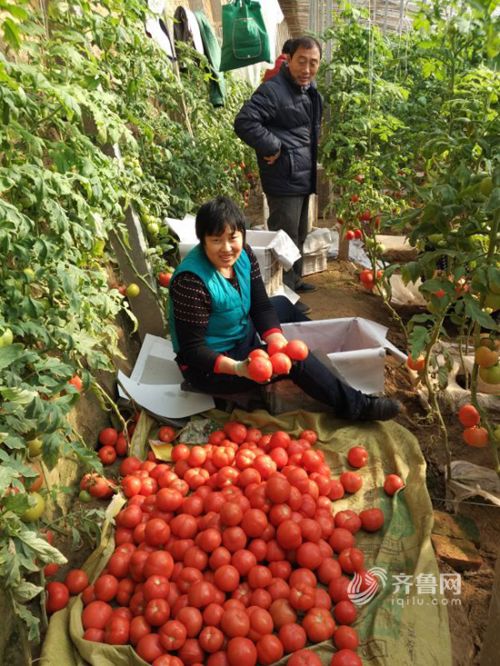 杞县邢口镇_金堂县淮口镇_邢口镇经济收入(3)