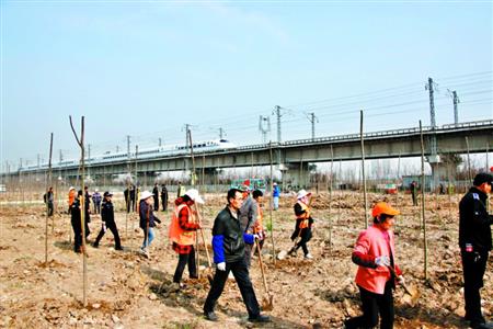 武汉城管整治违建出新招：栽下3000棵树