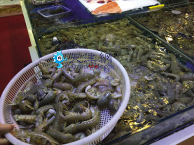 天津：今年皮皮虾价格贵三成