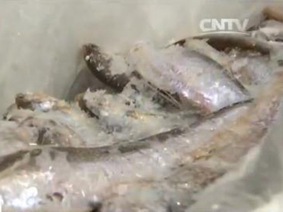 旅客从韩国携150公斤冰鲜鱼入境 被罚款列入黑名单