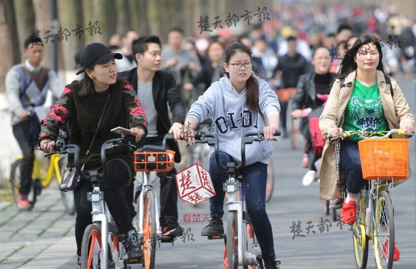 武汉东湖绿道：共享单车如流水
