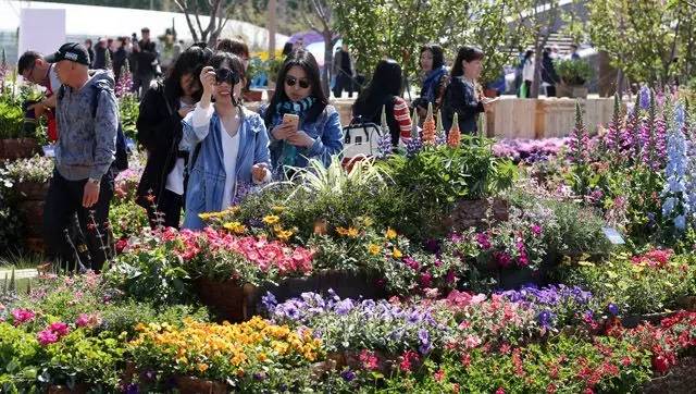 北京世园花卉今起“预演”，走，看花去！