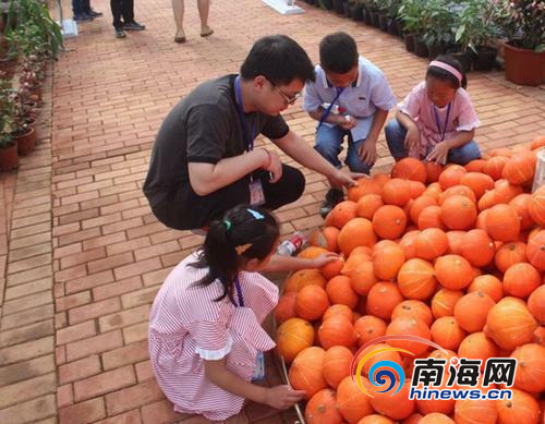 厉害！文昌航天种子“种”出108个新品种 好吃又好看