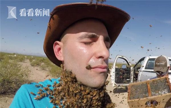 男子“作死”挑战3000蜜蜂蜇咬 惨被叮成“香肠嘴”