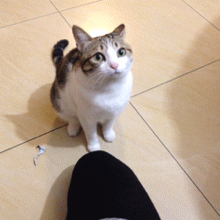 水果也可以做菜?山东人最喜欢吃最后一道