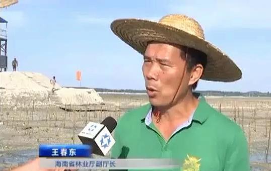 109次会议缺席63次 海南这位“任性”副厅长被免职