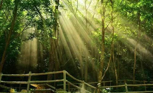 随手拍风景照片 c3c618bd9e78ef1_w500_h303.jpg