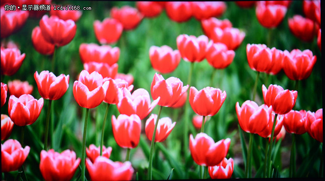 三星CHG90显示器高清屏摄与评测总结