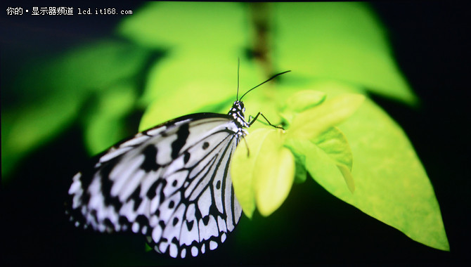 三星CHG90显示器高清屏摄与评测总结